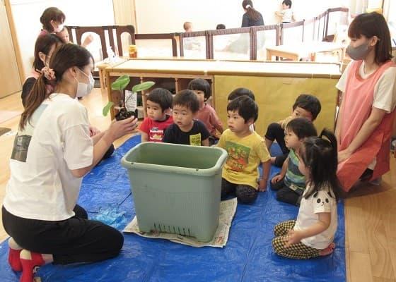 このえ雑色小規模保育園で保育士の正社員の求人 