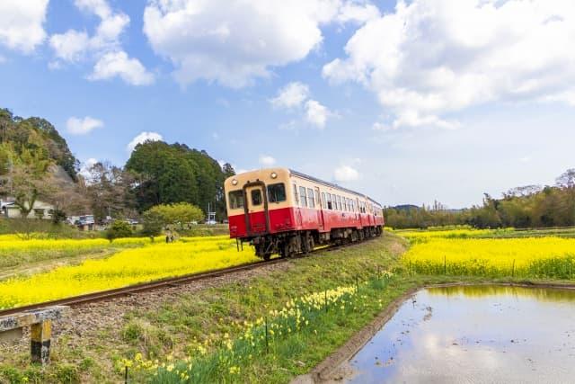 千葉県で働く保育士の特徴は?働く環境、求人や保育士ニーズの将来性を解説!