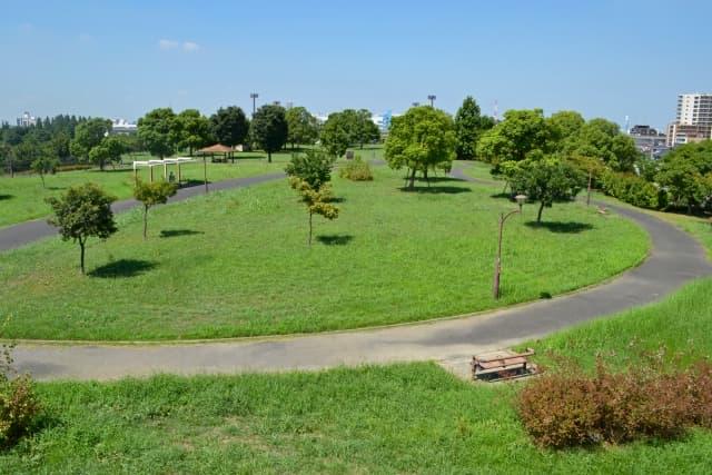 日々進化を遂げる街、足立区で保育士のお仕事をチェック!!