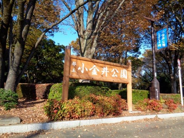 大規模公園が多い小金井市でリフレッシュしながら介護のお仕事してみよう