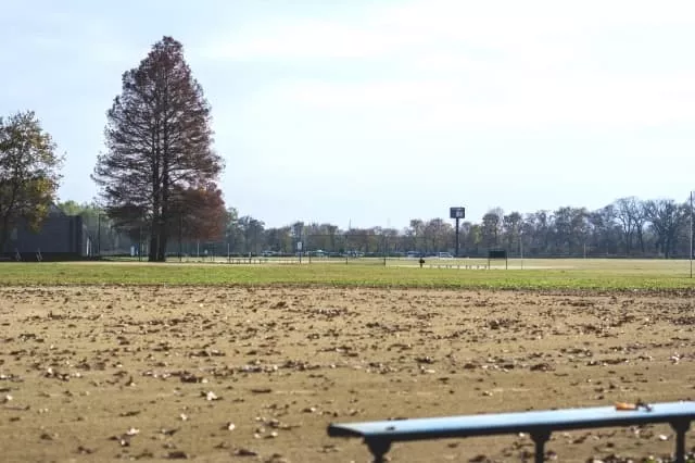 秋ヶ瀬公園